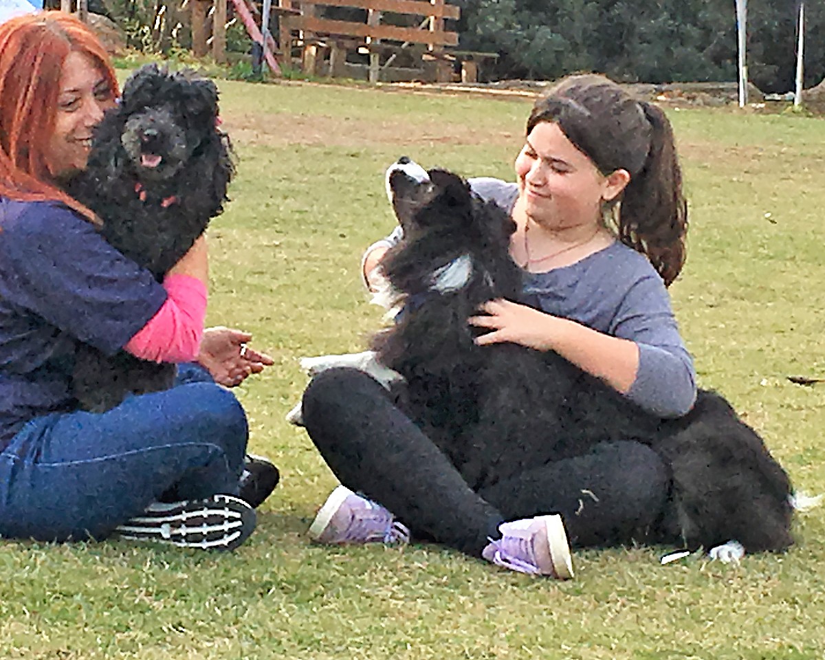 A practitioner and a young person sitting on the grass, each working with a dog.